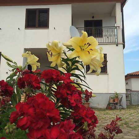 Apartments Bodi Rovinj Dış mekan fotoğraf
