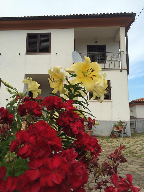 Apartments Bodi Rovinj Dış mekan fotoğraf